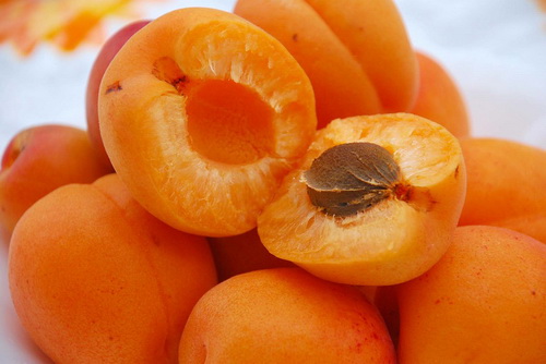 Прописка за абрикосы