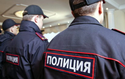 В полиции пообещали наказать членов группировки в поселке Хрустальная