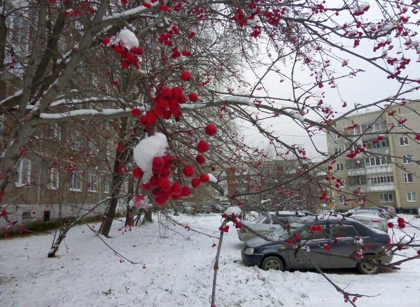 Ночь перед Рождеством: на Среднем Урале подморозит