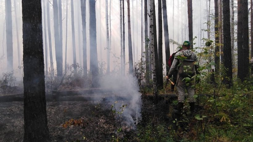 Пожар под Первоуральском случился из-за непогашенного костра