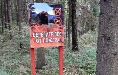 В Свердловской области объявлен пожароопасный сезон
